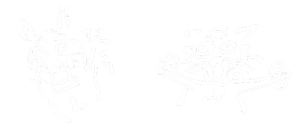 猫と猫